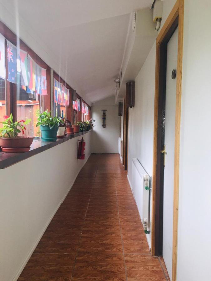 Hospedaje Irma Backpackers 푸콘 외부 사진
